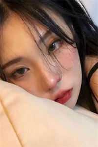 亲密搭档无敌律师