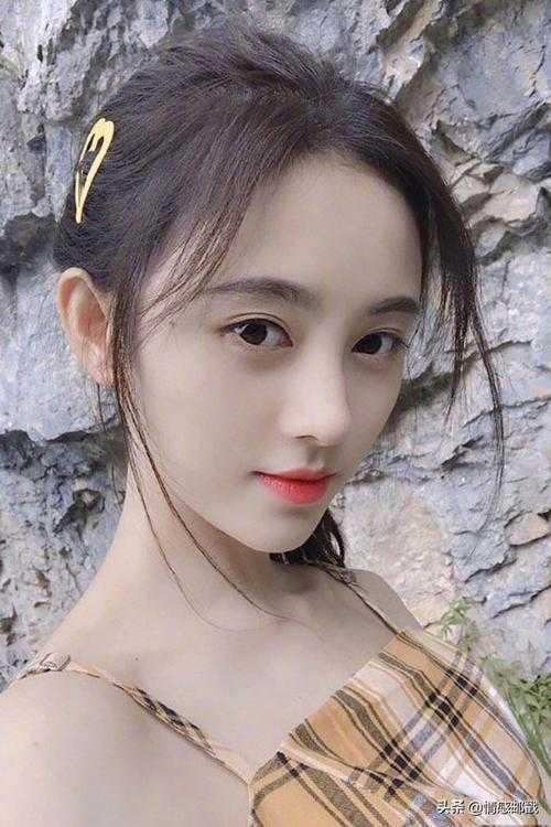 我在立海养崽崽作者瀚海阑干