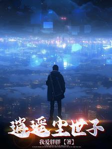 碟形世界讲的是什么
