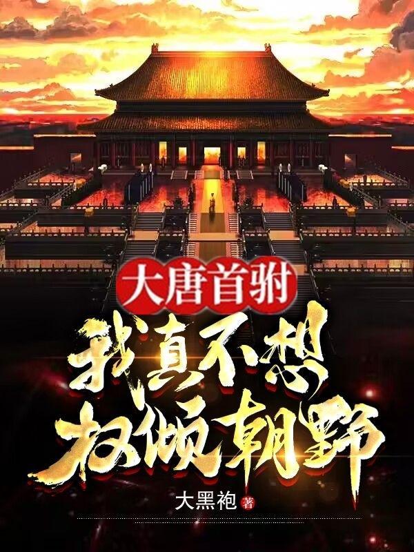 太阳骑士的无限征途