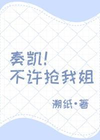 植体品牌排行