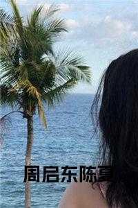 我在亮剑当战狼免费阅读