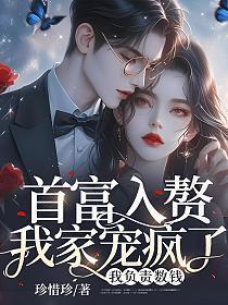 精灵全系掌门人txt