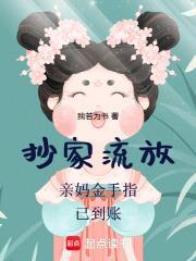 无限冒险指南 刹那辉煌