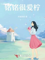 铁雁霜翎电视剧