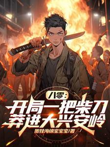 重臣攻略手册讲的是什么