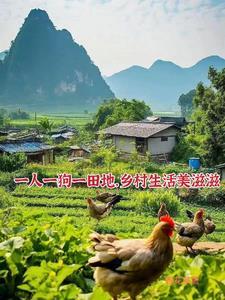 当软萌受嫁给暴躁总裁[重生