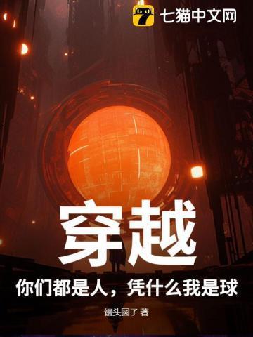 犁汉无防盗