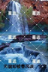 风流杀神罗宾肖雨笛免费阅读百度
