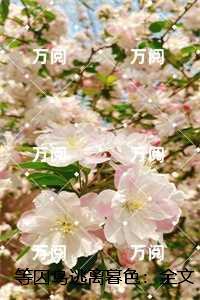 三叉戟电视剧全集42完整版免费