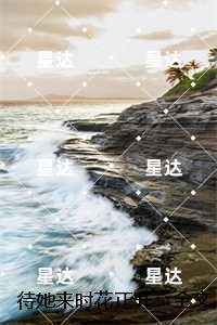 待她来时花正开：，苏晚怡顾怀川免费
