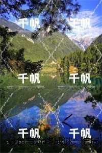 叶挽宁薄湛言全文免费阅读