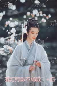 孤灯照影不成眠：独家整理