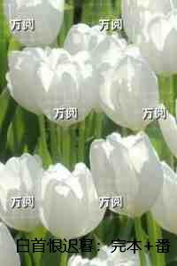 这个主持人太专业无错