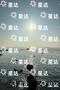 贼胆包天小模小样