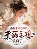 星河游侠怎么获得