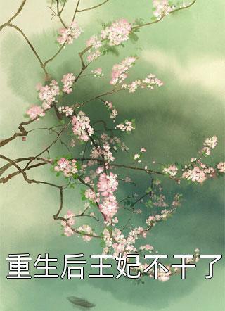 萧峥小月执掌风云全文免费阅读